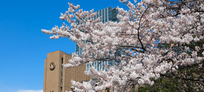 東北大学